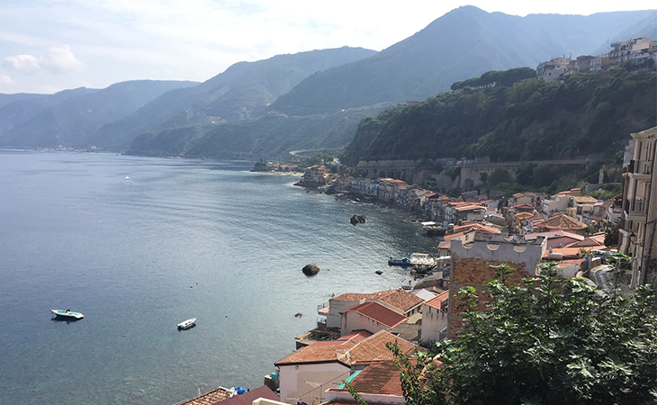 Scilla Scilla