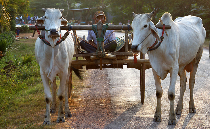 Mondulkiri Mondulkiri
