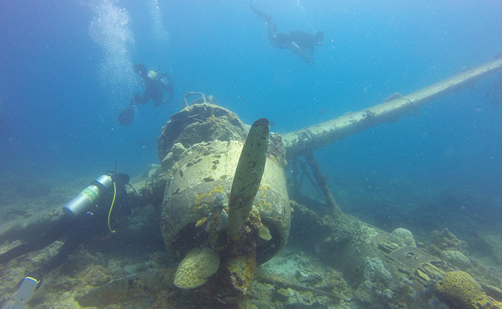 Potápění v Palau
