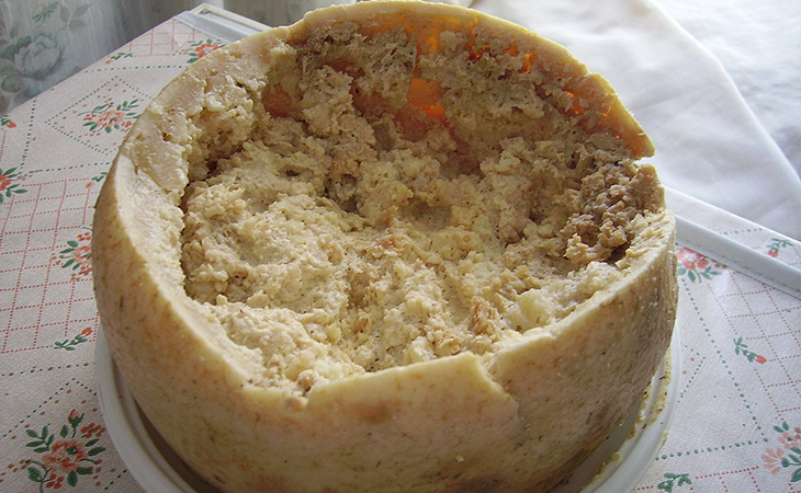 Casu Marzu